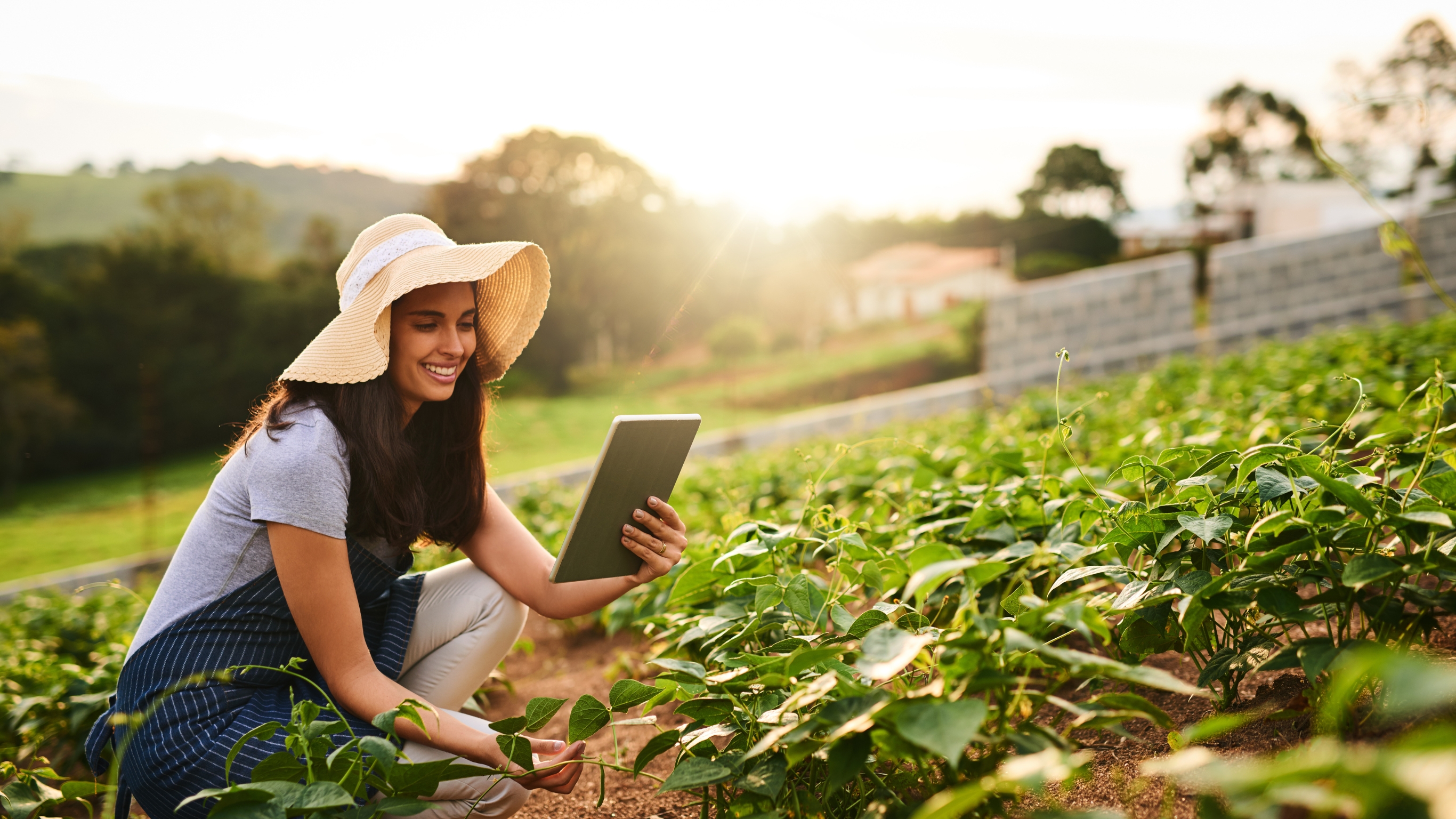 Organic Farming Support for Farmers